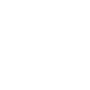 adaptability-and-Innovation
