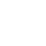 cost-efficiency